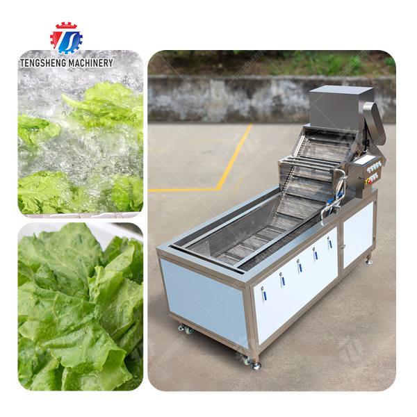 Bubble Vegetable Washing Machine Fruit Orange Vegetable Leaves Vegetables Herbs production Destoning Wash Washer Washing Cleaning