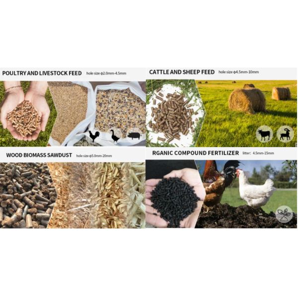 Petite machine automatique pour la fabrication de granulés pour les aliments pour poulets