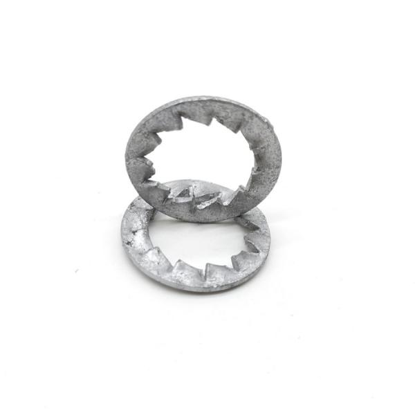 Hot Dip Galvanized Internal tooth Serrated Lock Washer Din 6798 J