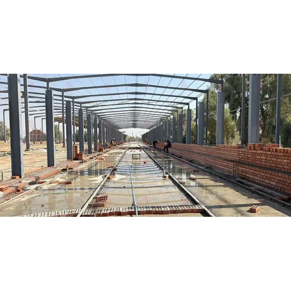 Brictec Clay Brick Production Line Project Showcase in Iraq From A to Z