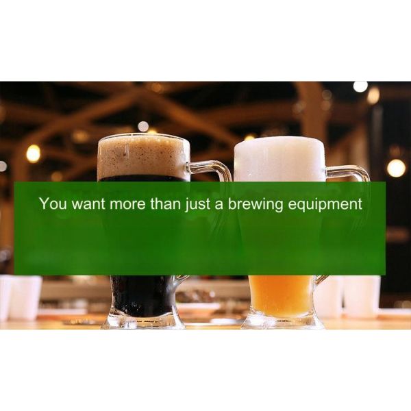 Home 500/550mm 0.08cbmr Automatic Stainless Steel Beer Fermentation Machine for Brewing
