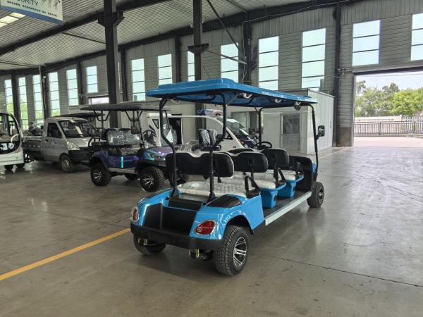 60V Battery Powered Lithium Golf Cart for 6 Passengers