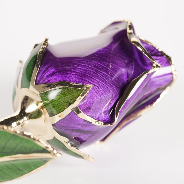 24k Gold Trimmed Rose Fresh Preserved Flower Gold Plated Natural Rose Handmade Preserved Rose