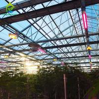A privação 20' da luz do cânhamo a estufa 3 de X 100 ' mergulha a casa verde das pimentas