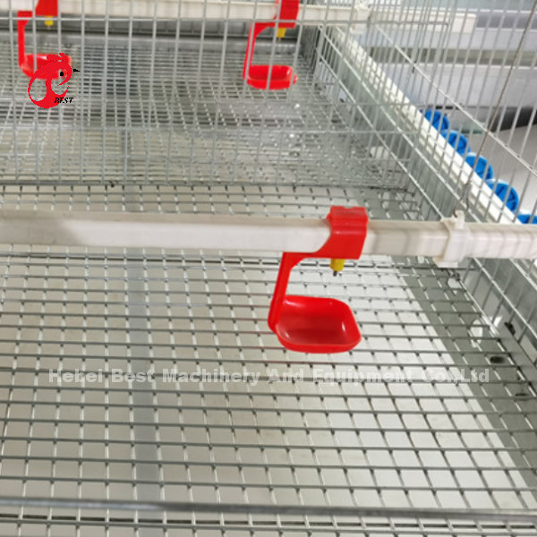 Автоматическое оборудование для птицеводческих ферм 4-го уровня. Дизайн куриной клетки 2.40м* 2.60м* 2.0м Роза