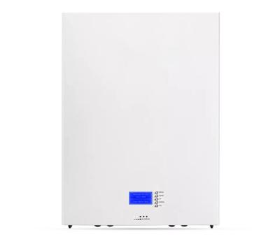 48V 60Ah Lifepo4 Lithium Ion Home Solar Battery For Solar Energy Storage System