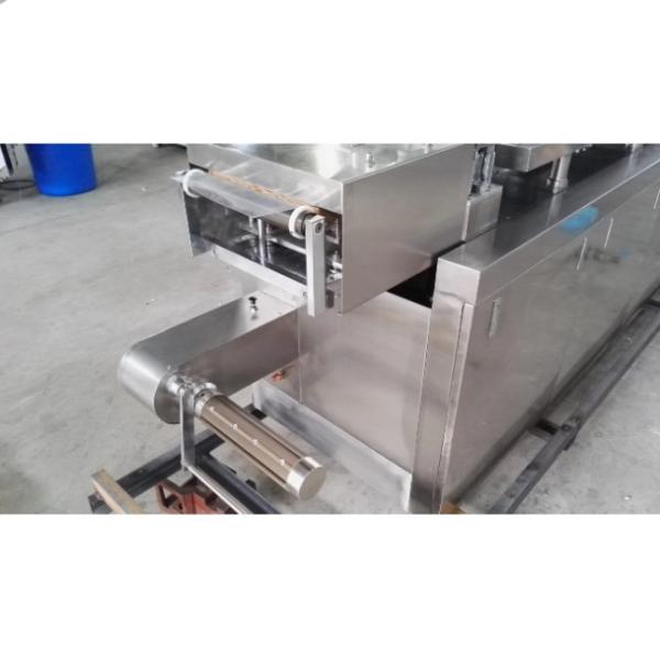 Pharmaceutical Blister Packing Machine 2.2kw Micro Computer Control