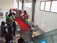 Sachet stérilisant la chaîne de production de sauce tomate 150t/D