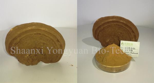 reishi mushroom series: Reishi slices, Reishi Mushroom Extract polysaccharide 20% triterpenoids1% , Manufacture