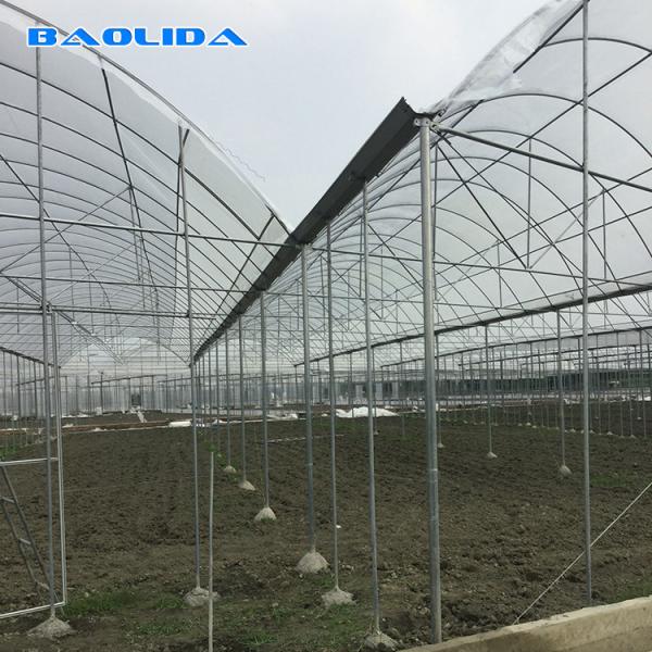 Multispan Plastic Film Greenhouse With Drip Irrigation System Plant Nursery Grow Tent