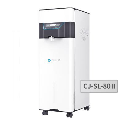 Type I II RO Water Salt Filter Lab Ultra Pure Distilled UV Tank Deionized Purification Plant