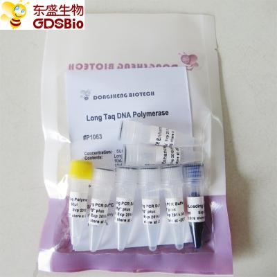 Polimerase de ADN longa #P1063 de Taq 1,000U