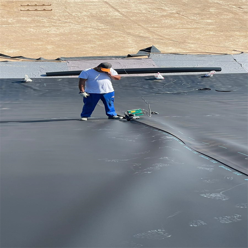 Водоустойчивый непромокаемый пластиковый Hdpe приглаживает вкладыш бассейна Geomembrane