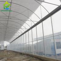 Agricultura en invernaderos con película de plástico de túnel comercial de una sola franja