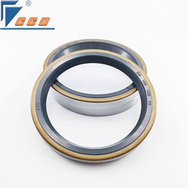 Black NBR And Metal Seals Oil Resistance Sealing Dustpro Of  Mechanical Oil Seal