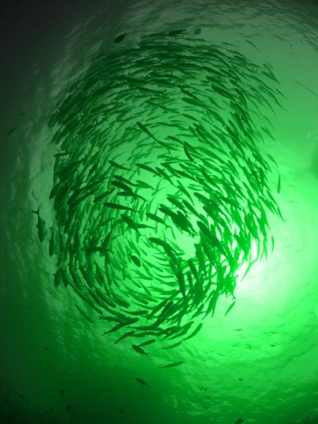 5000W Deep Sea Fishing Light Commercial Boat-mounted Fish Aggregation LED Fishing Light