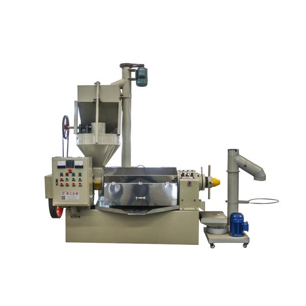 600kg/H  Palm Kernals Oil Processing Machines Automatically Fedding  cold press Groundnuts Oil Extraction