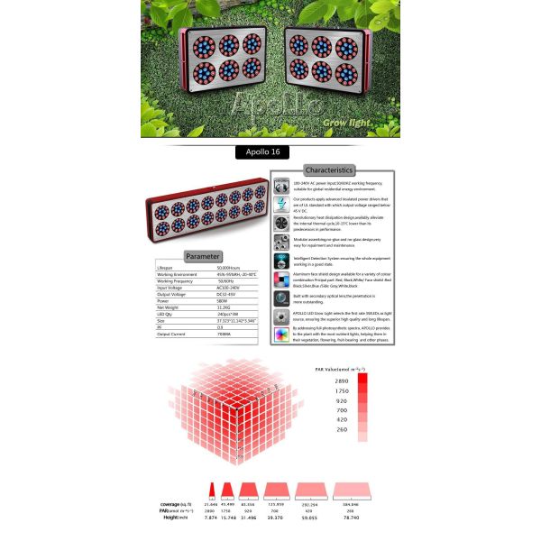 600W Full spectrum LED grow light from Cidly use for 1000W HPS grow tent system