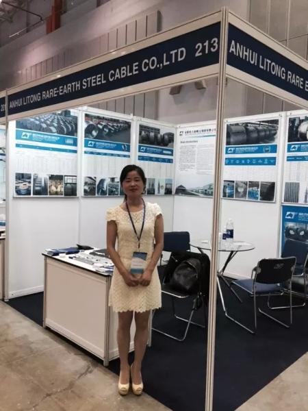 o fio de indivíduo galvanizado calibre do cabo de fio de aço EHS de 1.0-4.8mm com melhora a vida útil