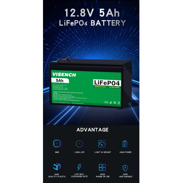 Висенч прямая фабрика высокое качество 12в 5а Глубокие 6000 циклов Солнечный Lifepo4 перезаряжаемая литий-ионная lifepo4 батарея 48в