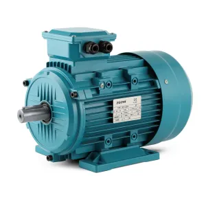 Moteur d'induction industriel à 3 phases avec sortie nominale de 0,12 kW à 315 kW pour les applications lourdes