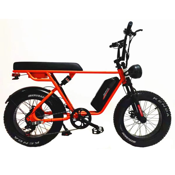 Двойной дисковый тормоз 48 В 1000 Вт Мотор Эбик 20 дюймовый электрический жирный шины велосипед с шинами Кенда