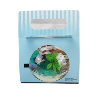 Blister Process Type Mousse Cake Packaging with Pink Carry Paper Card and Easy Carry
