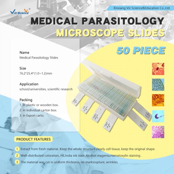 Medical Human Parasitology Slides 50pcs EU Standard Glass Material For  College