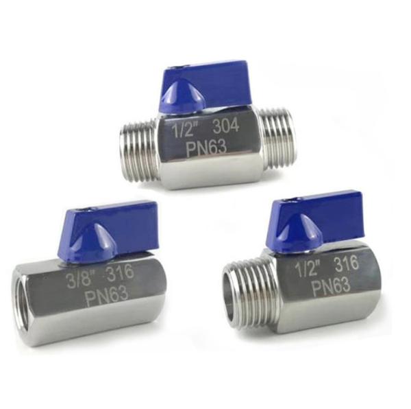 Stainless Steel Male To Male Thread Cf8m 1000wog