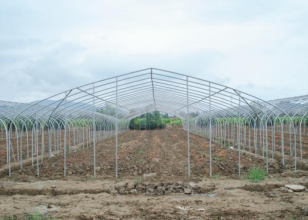 150Micron Single Span Greenhouse Customizable Plastic Film Greenhouse