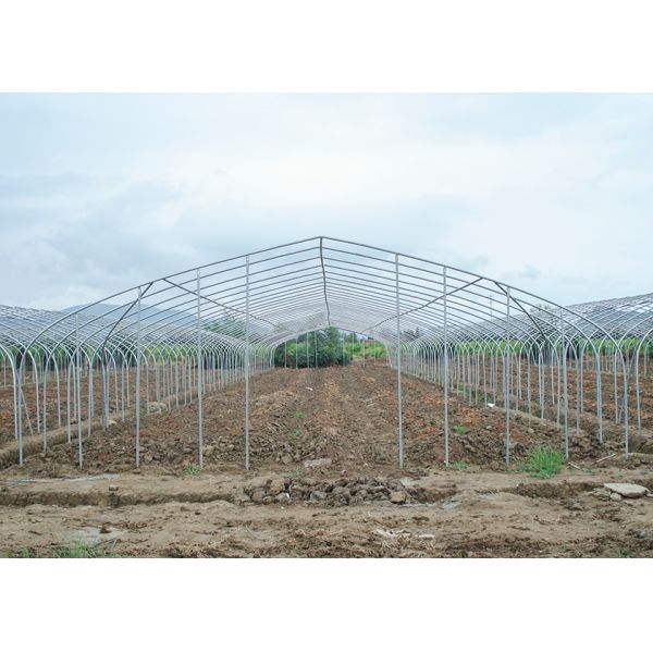 150Micron Single Span Greenhouse Customizable Plastic Film Greenhouse