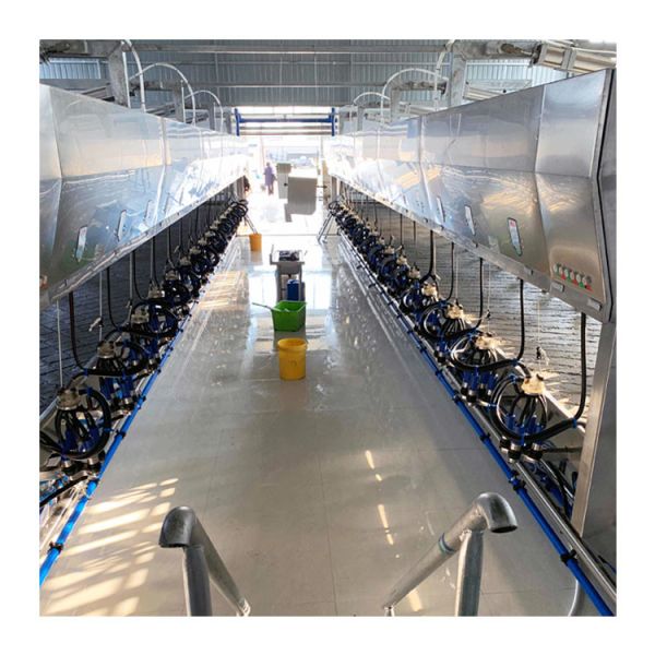 SS304 500 Litre Milk Tank With Food Grade Material
