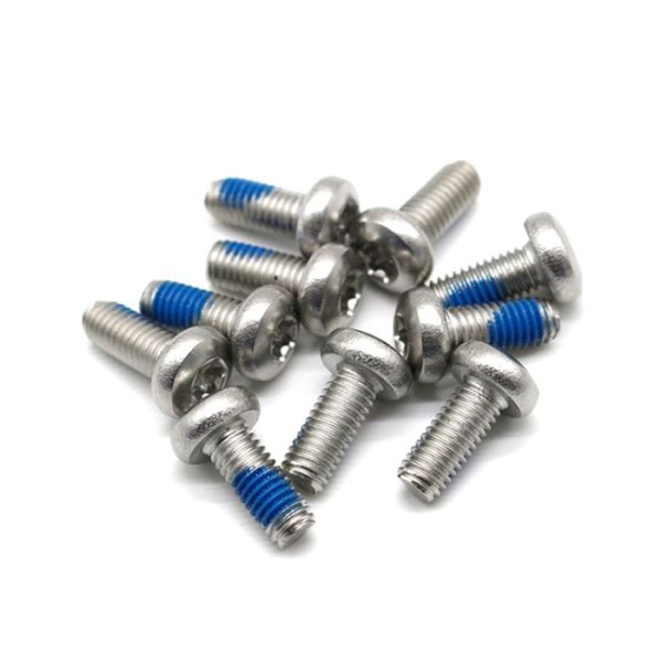 Stainless Steel DIN Pan Head Nylon Torx Screw Locking Screws