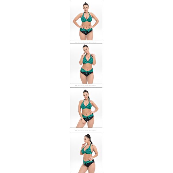 2019 New Plus Size Two piece Swimsuit Strip Print Swimsuit Women Push up 1957