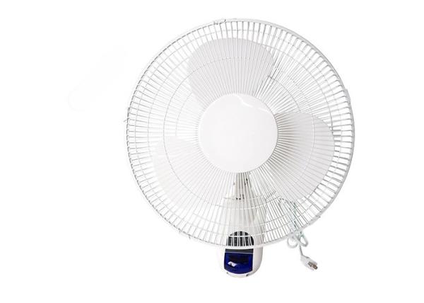 Low Noise Grow Room Fans / 12 Plastic Wall Fan Air Ventilation 230V 50W 3 Blade 50Hz