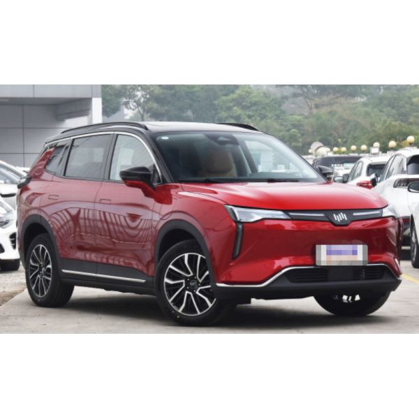Weltmeister W6 2021 520km PRO All purpose edition