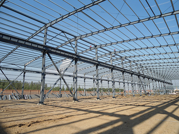 Cost Saving Corrosion Resistant Steel Structure Building with H Steel Column & Beam for Industrial Plant and Storage Warehouse