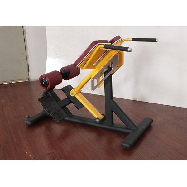 Customizable Ab Exercise Chair Plate Loaded 50kg Weight Soft Cushion