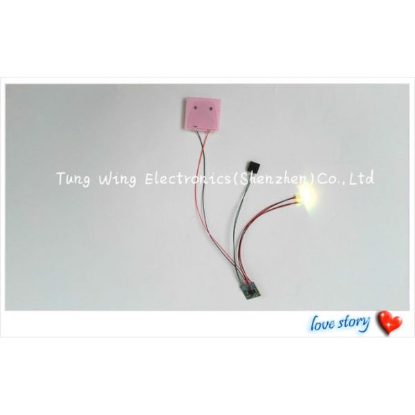AG13 LED Sound Book Button Module Acoustic Components 120s