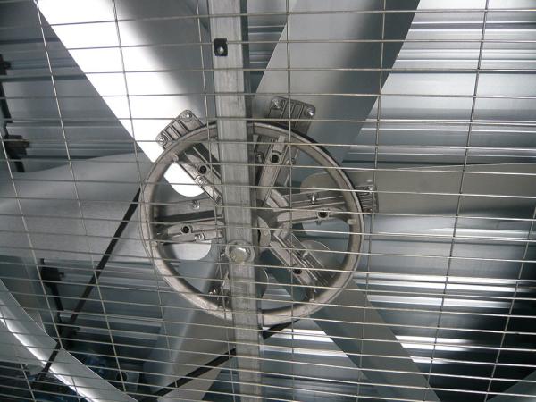 industry greenhouse pig house poultry house wall mounted metal belt driven exhaust fan with good price