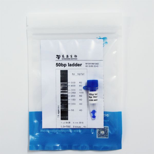 Голубой электрофорез 50ug лестницы ДНК возникновения 50bp