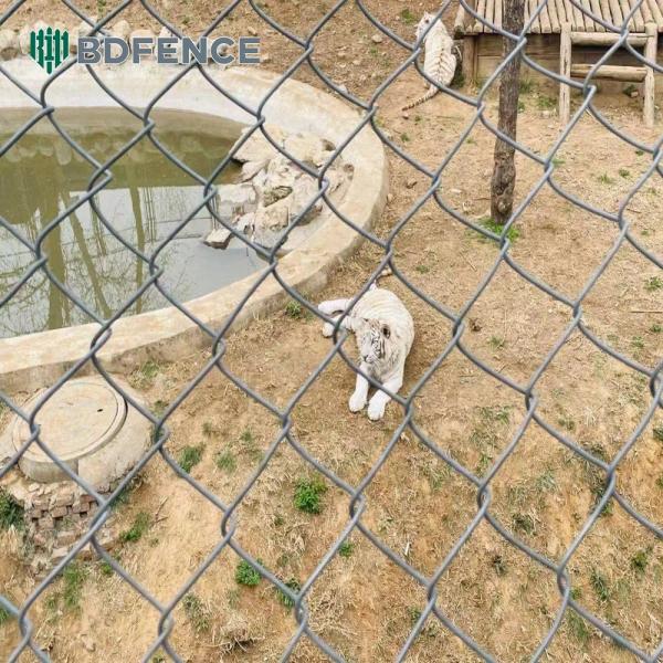 Nature Reserve Chain Link Fence Wildlife