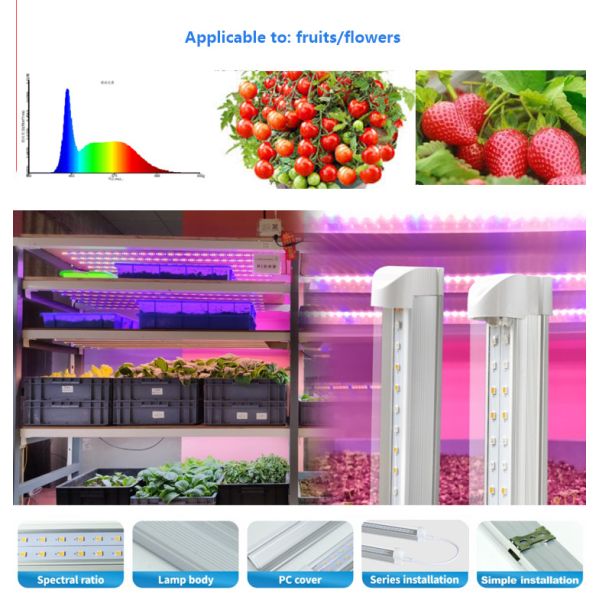 18W/36W T8 tubo de luz de cultivo LED para lechuga hongo hidropónico de interior de cultivo 70lm/w eficiencia
