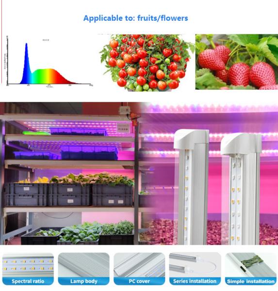 4ft hydroponic light 36w 18W T8 led grow light tube led indoor grow lights stand for lettuce mushroom