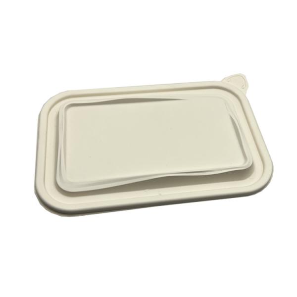 Thermoforming Biodegradable Plastic Sheet Polylactic PLA Disposable Food Containers