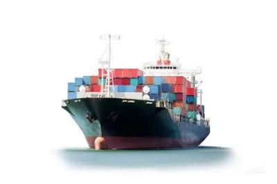 China To India Door To Door Forwarder 20GP 40GP All Day