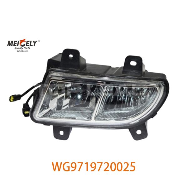 Sinotruk Howo Engine Heavy Duty Truck Grouped Lamps WG9719720025 WG9719720001