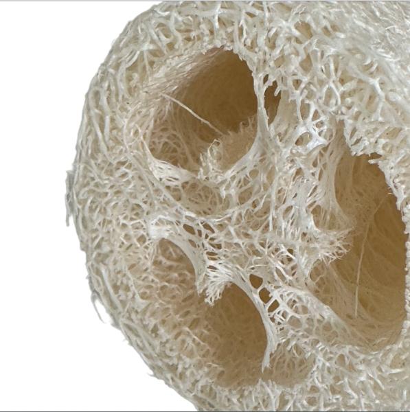 Natural Biodegradable Loofah Sponge for Eco-Friendly Body Exfoliation