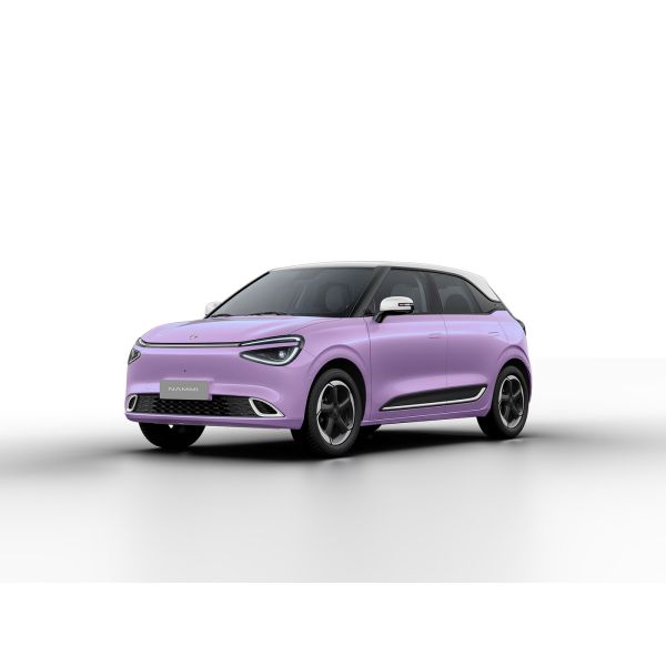 Max Smart Energy Vehicle Dongfeng Nami 01 2024 430 with 4030*1810*1570 Body Structure