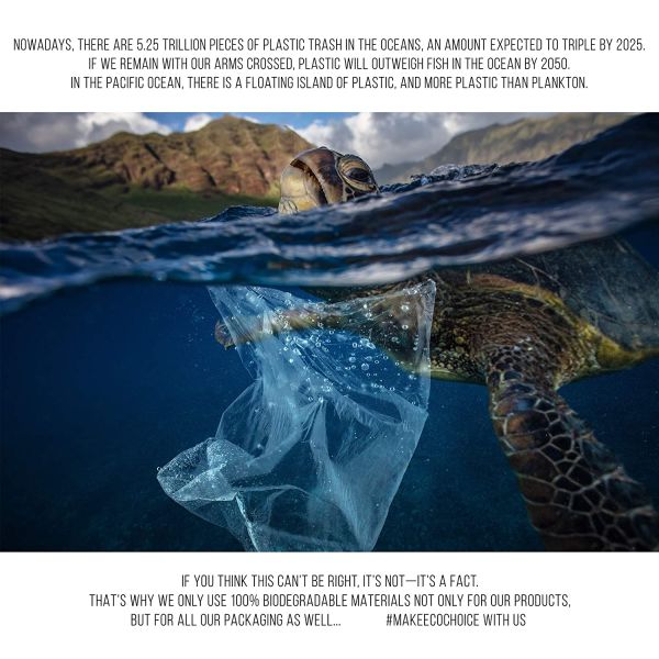 S&j Green Environment Medical Cotton Swabs Wooden Stick Premium Bamboo Stick Cotton Buds